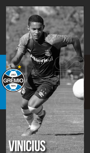 José Vinicius Arcênio Alves